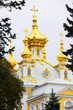 Saint petersburg. Peterhof