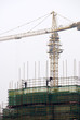 Busy construction site