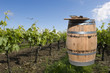 tonneau dans les vignes