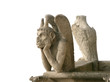 Isolated gargoyle of Notre Dame de Paris Isolated gargoyle of Notre Dame de Paris