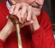 mains de vieil homme mains de vieil homme