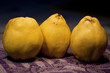 quince fruit