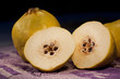 quince fruit
