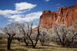 Capitol Reef National Park Capitol Reef National Park