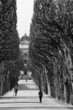 Jardin des plants