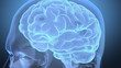 Video: Journey into human head, with brain and neurons Journey into human head, with brain and neurons