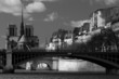 Notre Dame