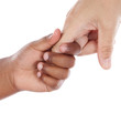 Handshake between an African-American and Caucasian Handshake between an African-American and Caucasian