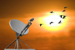 Dish And Sunset