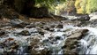 Running water in the Carpathians Mountains