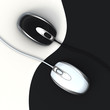 Yin and yang