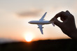 plane at sunset.