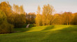 frühlingslandschaft