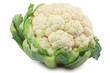 Foto: Blumenkohl Blumenkohl