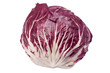 Einzelner Radicchio
