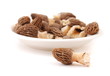 Morchel - edible mushroom Morchella