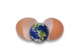 Globe hatching from egg.Source from globe: visibleearth.nasa.gov