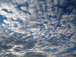 雲