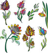 flowers collection
