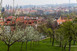 View of Prague through the blooming gardens View of Prague through the blooming gardens