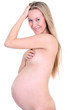 undressed pregnant female holding her breasts undressed pregnant female holding her breasts