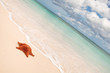Red starfish on a sand beach Red starfish on a sand beach