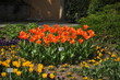 Blumeninsel Mainau, Land Baden-Württemberg, Deutschland.