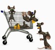 shopping
