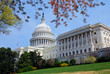 Capitol Hill Building with tree, Washington DC. Capitol Hill Building with tree, Washington DC.