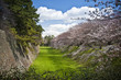 Spring Moat 03