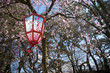 Spring Lantern 01