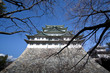 Nagoya Castle 04