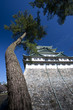 Nagoya Castle 05