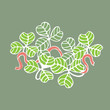 Clover