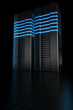 Rack servers