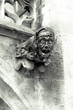 Munich. Mystical downpipes