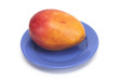 mangue