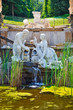 Park in Schonbrunn