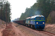 Freight diesel train
