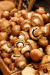 Brown Mushrooms