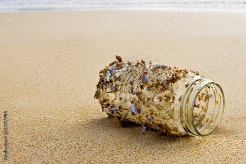 Photo: Shells on a Jar - Waiting for the Tide Shells on a Jar - Waiting for the Tide