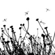 real grass silhouette - vector - two colors