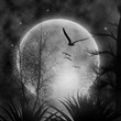 moon moon
