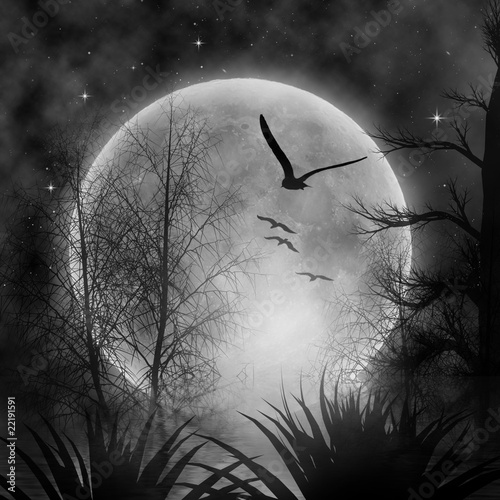Foto: moon moon