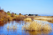 Torredembarra wetlands, Spain