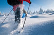 Snowshoe Adventure