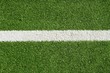 paddle tennis green grass camp field texture paddle tennis green grass camp field texture