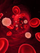 fließendes Blut