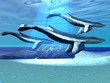 BLUE WHALE SANCTUARY