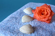 Foto: Wellness Wellness